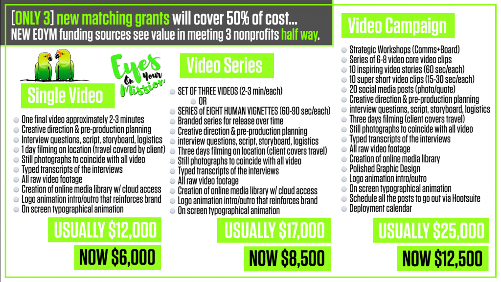 two-parrot-50-50-matching-video-grant-nonprofit-funders